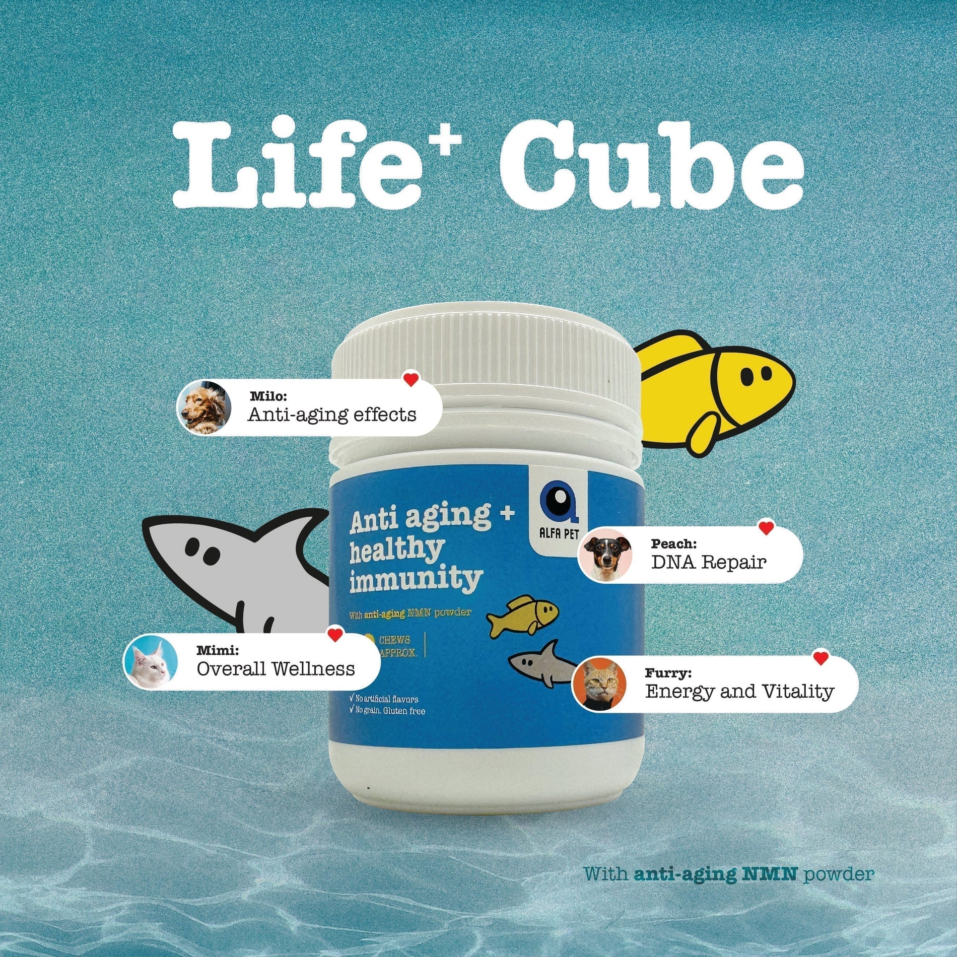 Alfa Pet Life+ NMN Chews for Canine Health